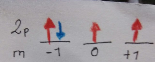 PRINCIPIO DE EXCLUSION