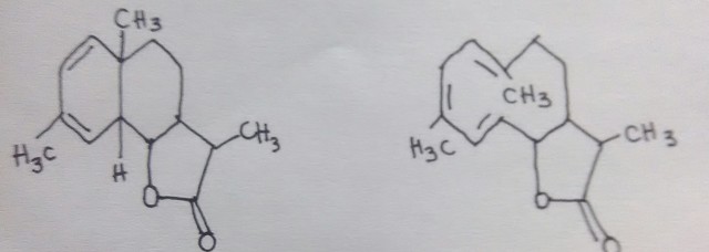REGLAS DE WOODWARD-HOFFMANN