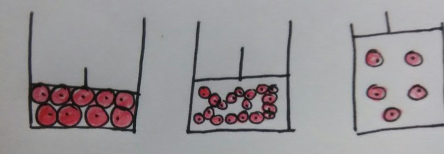 PRIMER CONDENSADO DE BOSE-EINSTEIN