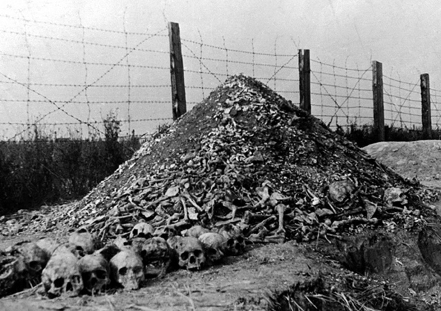 Discovery of Majdanek