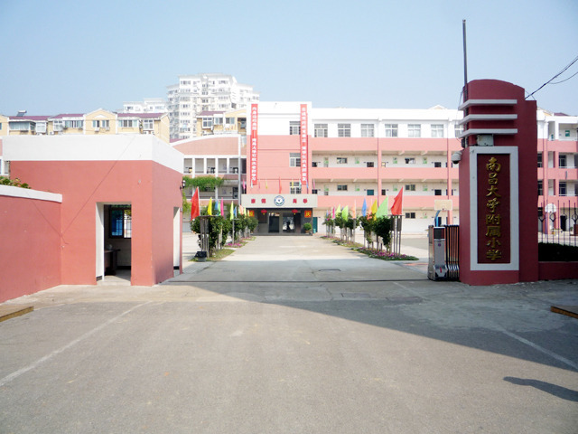 Elementary School