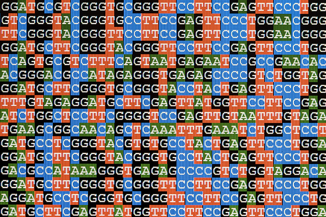 Completion of the Human Genome Sequencing