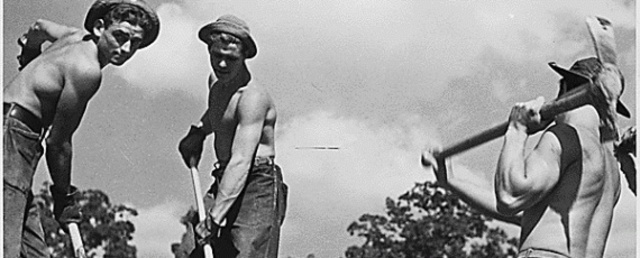 Reforestation Relief Act