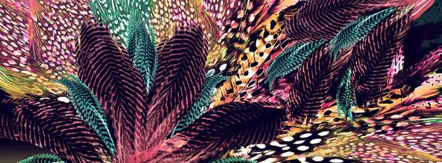 THE RUNNING CLOSET LINE