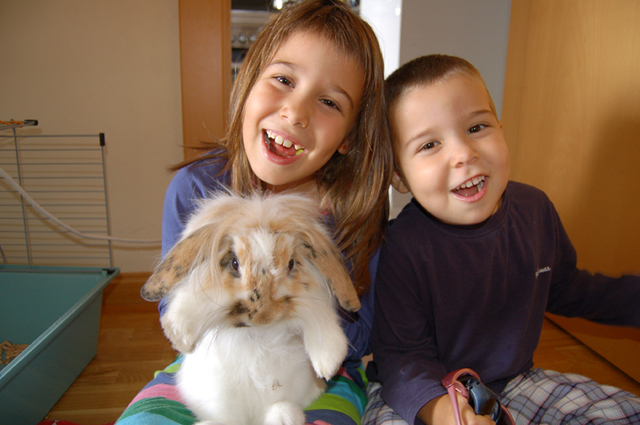 We bouth our rabbit