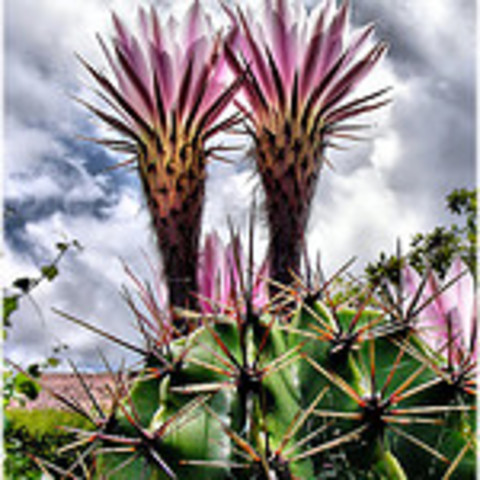 CAMBIO FUNDAMENTAL EN EL PENSAMIENTO