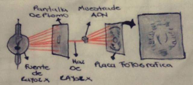 CRISTALOGRAFIA DE RAYOS X