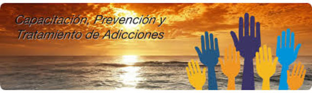 Creación de ONG'S e Instituciones