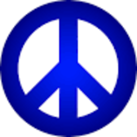 Minimal truancy, discipline & dropout