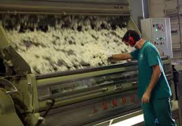 la desmotadora de algodón