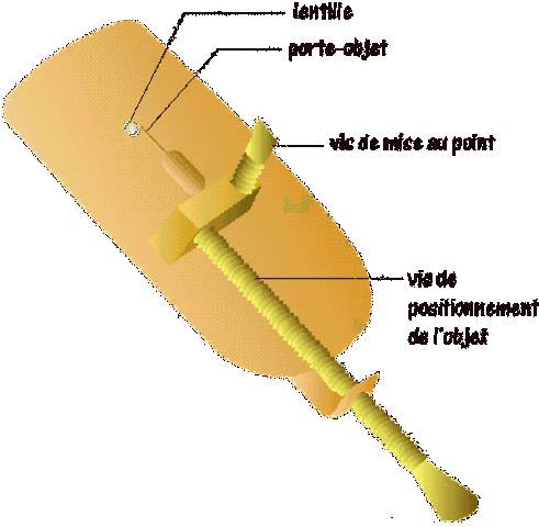 Le microscope de Van Leeuwenhoek