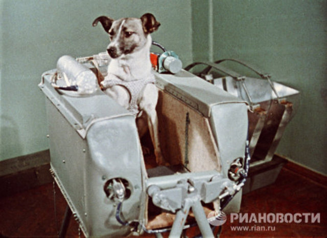 Primer lanzamiento al espacio de un ser vivo