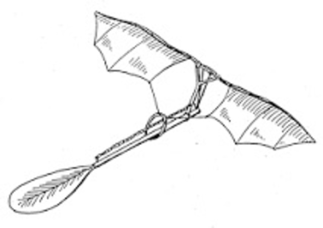 Leonardo Da Vinci designs ornithopter. (A.D)