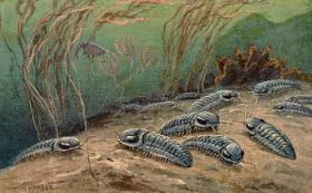 Extinción masica 'Ordovicico´