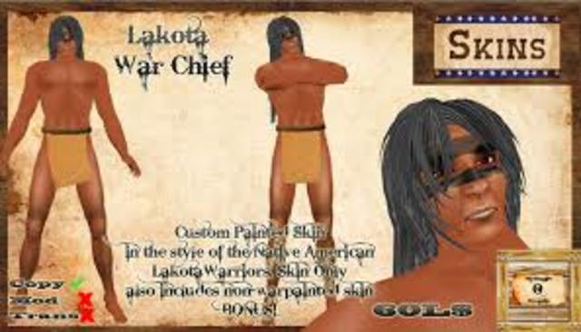 The Lakota War