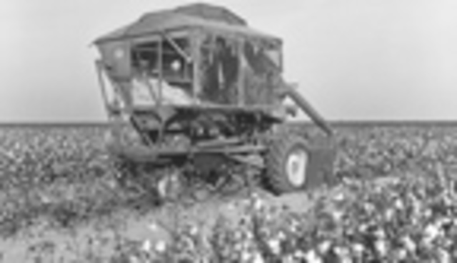 Six row planter and cultvators