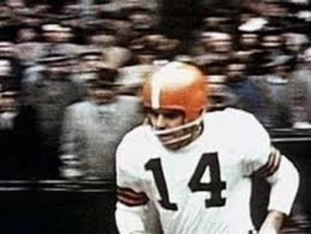 Plastic helmets get popularity