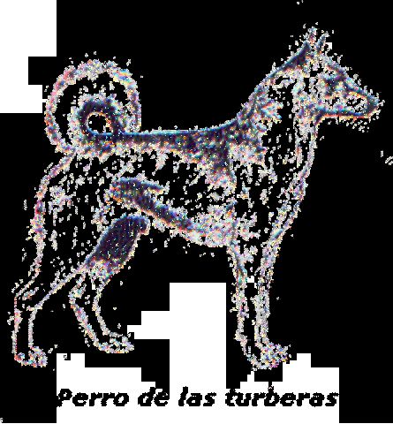 Perro de las turberas