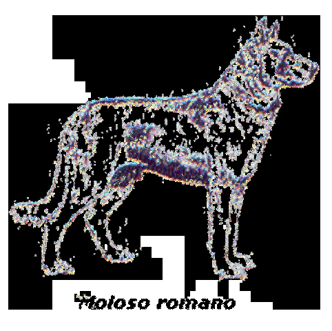 Aparicon del Moloso Romano