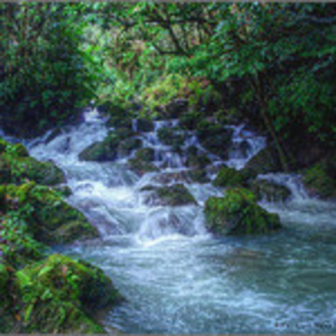 Naturaleza en el año 2001