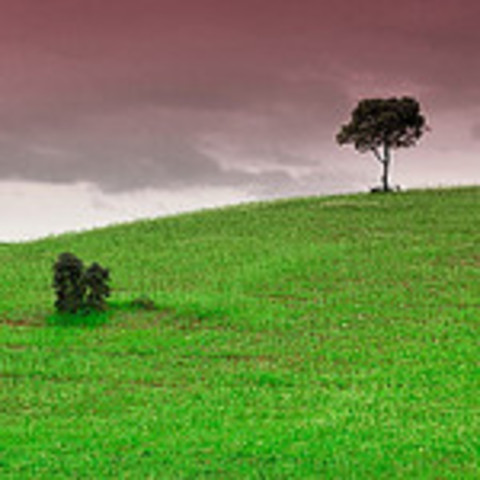 Naturaleza en el año 2002