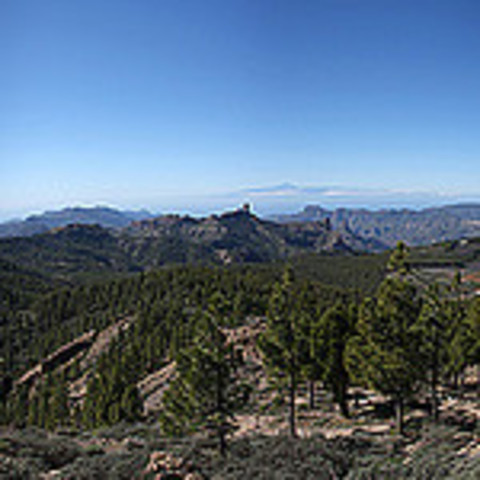 Naturaleza en el año 2004