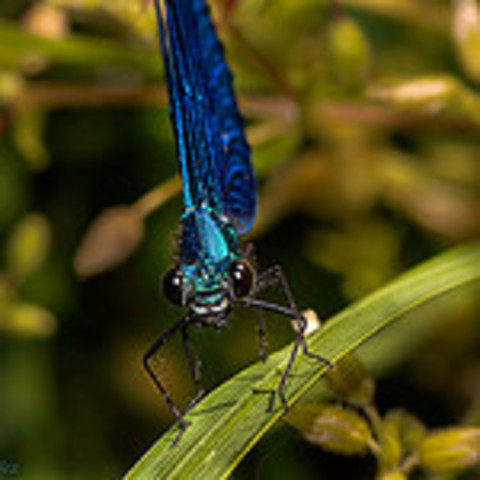 Naturaleza en el año 2008