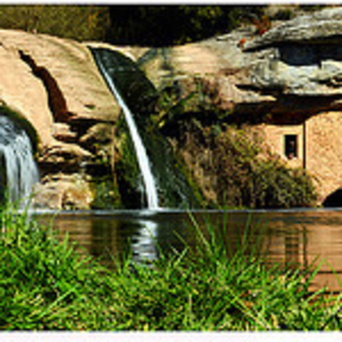 Naturaleza en el año 2010