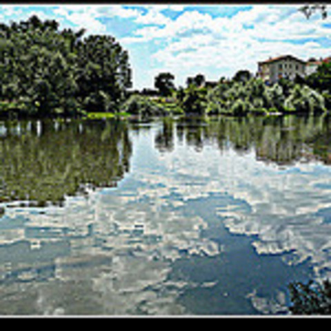 Naturaleza en el año 2011