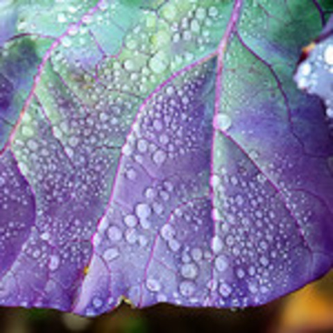 Naturaleza en el año 2012