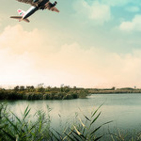 Naturaleza en el año 2013