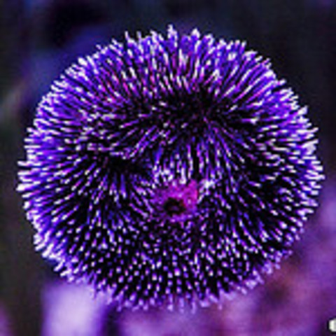 Naturaleza en el año 2014