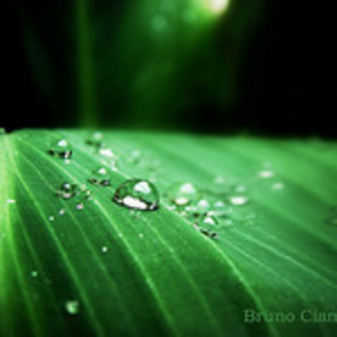 Naturaleza en el año 2015