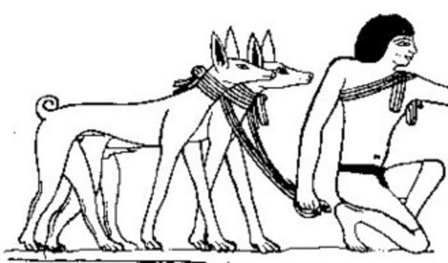 Aparicion de los primeros perros