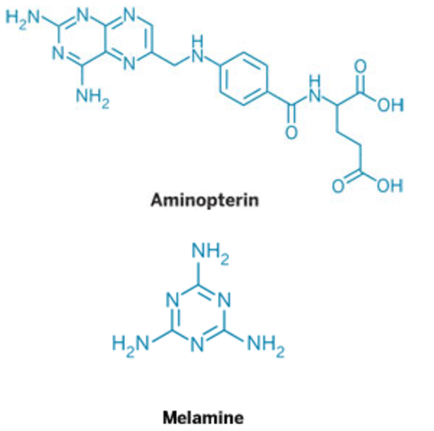 Aminopterin - childhood Leukaemia