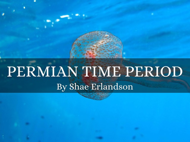 Permian Period