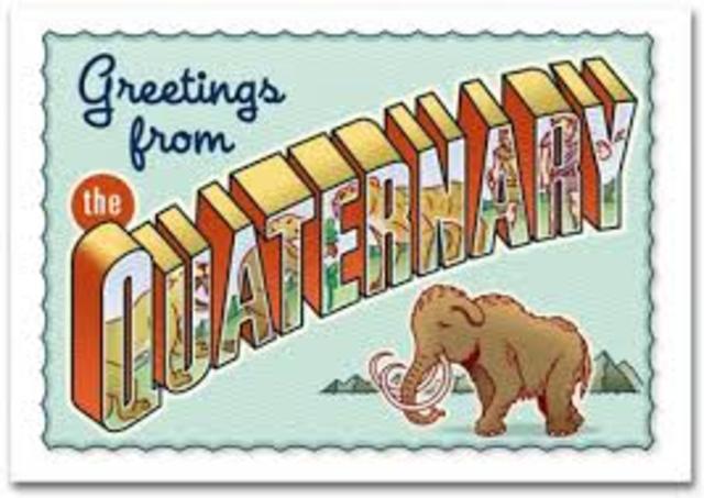 Quaternary Period