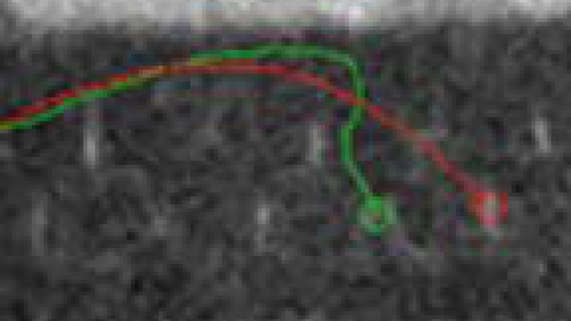 The Smart Bullets direction