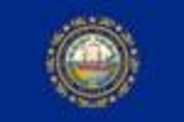 New Hampshire becomes a state