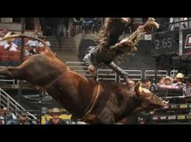 Getting hit by Bushwacker