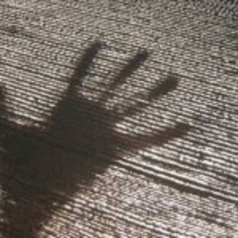 Transparent/ Translucent