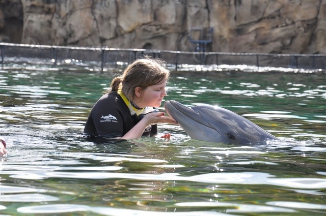 First Time Swimming with the Dolphins!