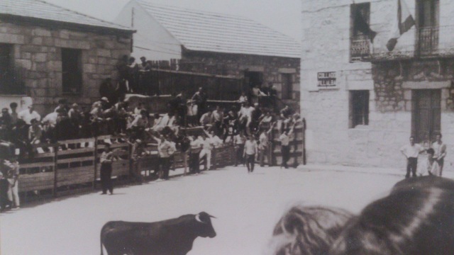 Toros en la Plaza del Ayuntamiento