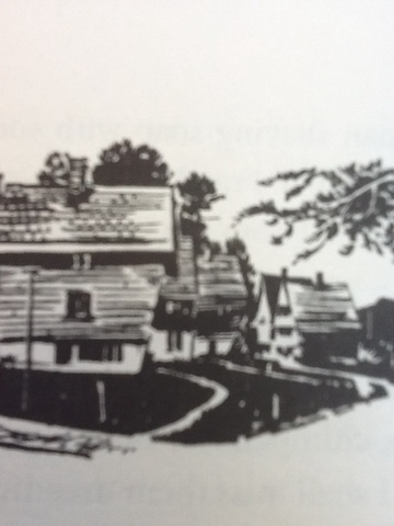 Chapter 29- The new beginning