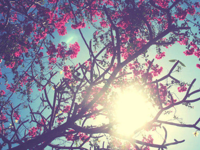 My cousins went to Canada for study