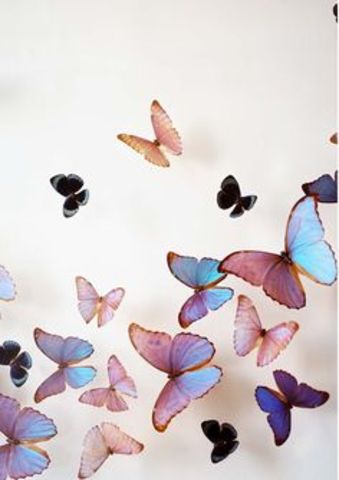 Go to secondary school