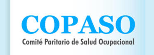 Colombia; Organización y funcionamiento del Comité Paritario de Salud Ocupacional, Copaso.