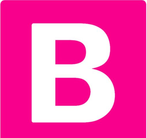 Det Radikale Venstre opstår