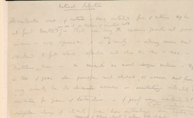 Charles Darwin's First Essay on Natural Selection