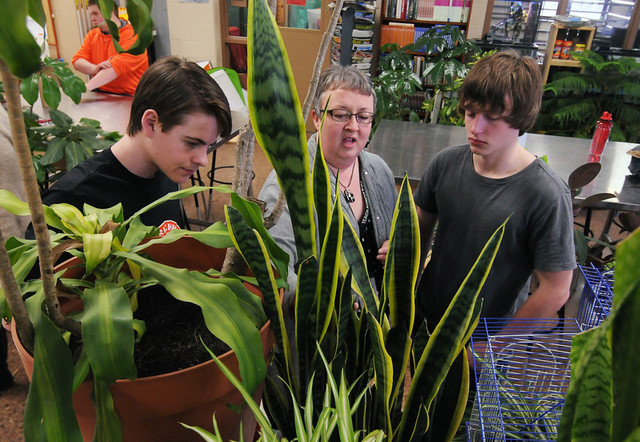 Smith-Hughes Act established funding for vocational agriculture in High School.